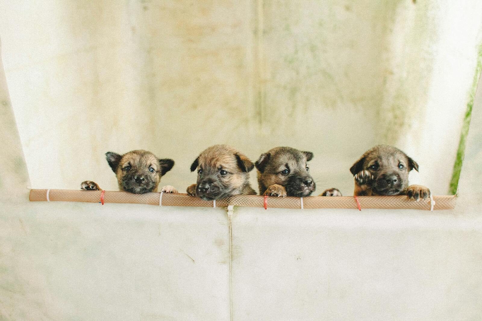 Detention & International Standards